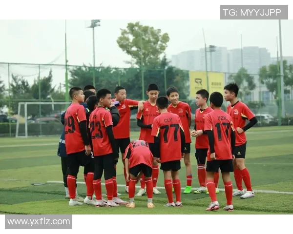 足球114带你领略全球足球盛事精彩瞬间与深度解析