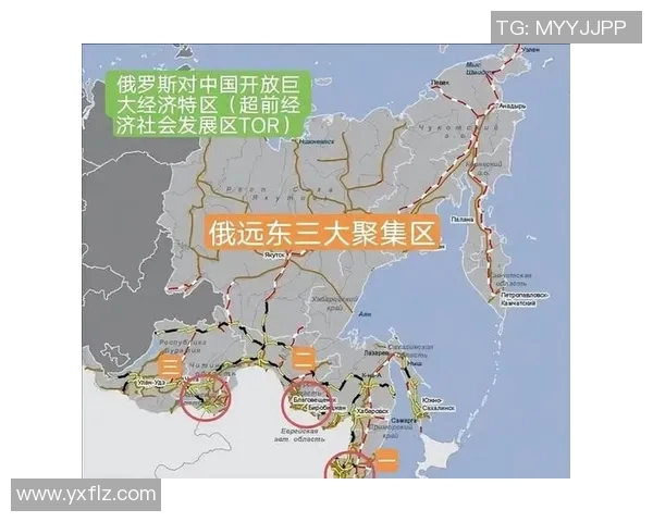 中国与俄罗斯的战略合作与竞争关系分析及未来展望 中国与俄罗斯的战略合作与竞争关系分析及未来展望