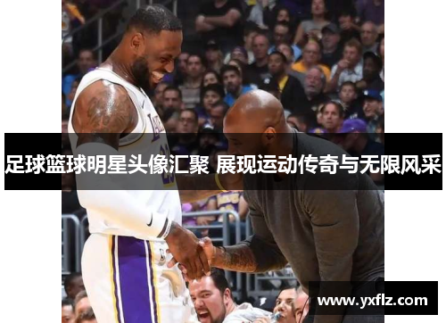 足球篮球明星头像汇聚 展现运动传奇与无限风采