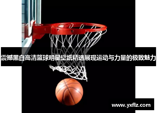 震撼黑白高清篮球明星壁纸精选展现运动与力量的极致魅力
