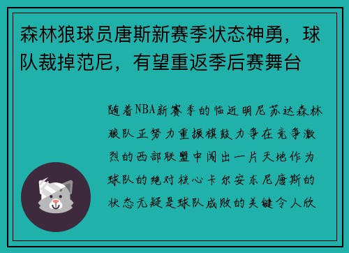 森林狼球员唐斯新赛季状态神勇，球队裁掉范尼，有望重返季后赛舞台
