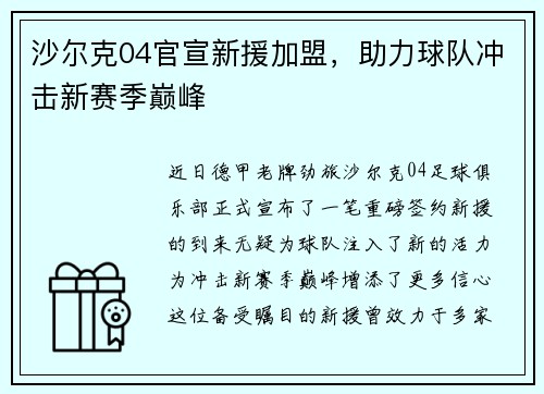 沙尔克04官宣新援加盟，助力球队冲击新赛季巅峰